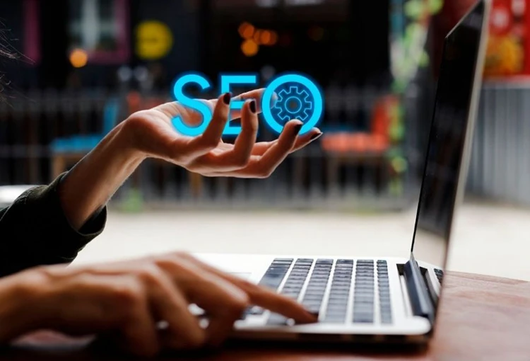 Mutki Web Site Tasarımcı